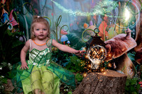 Jo 100223 MYystic Woodlands  (5)