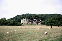 DPP_2