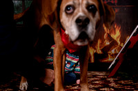 101223-1230-Lewis H # (16)